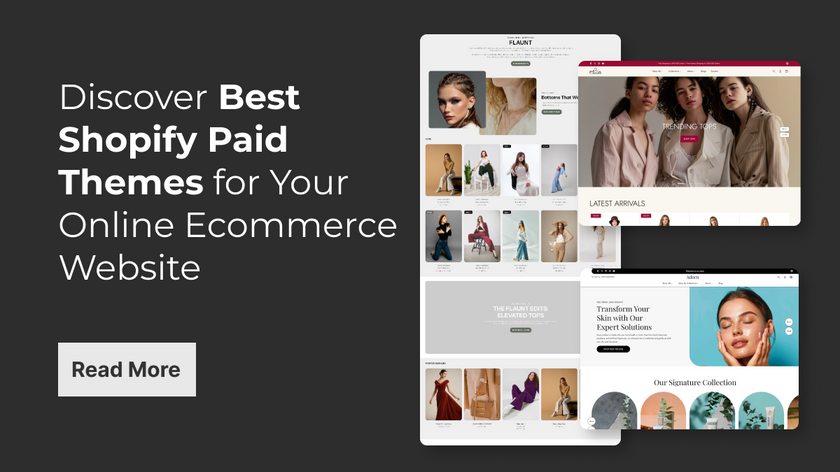 Discover Best Shopify Paid Themes for Your Online Ecommerce Website