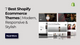 Best Shopify Ecommerce Themes