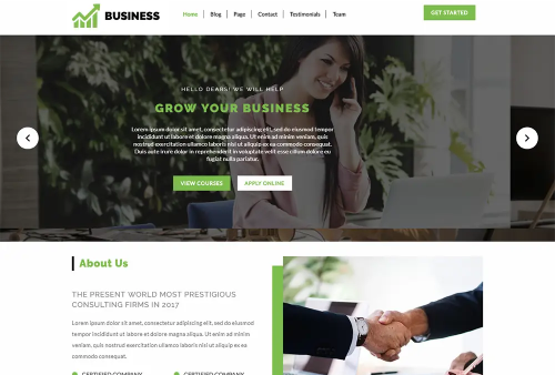 WordPress Theme For Business