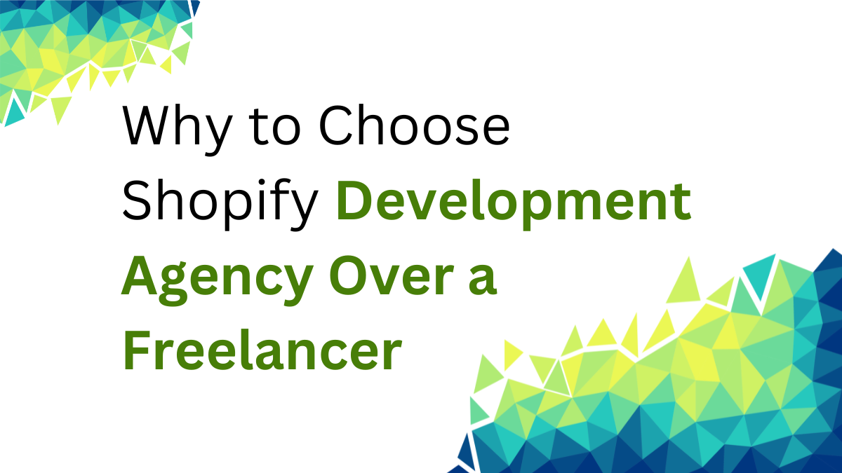 development-agency-over-a-freelancer