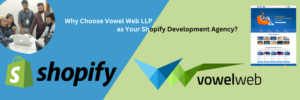 Development Agency Over a Freelancer