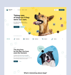 Pet Care Website Project